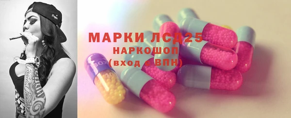 гидропоника Новозыбков