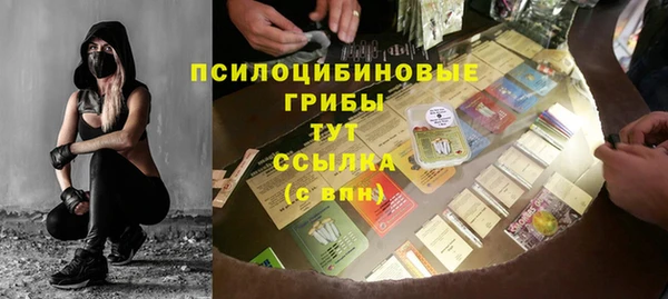 стафф Нефтекумск