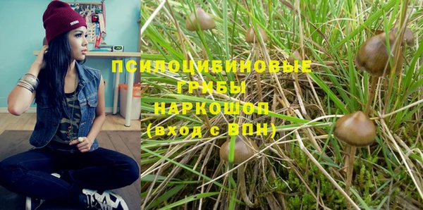 гидропоника Новозыбков