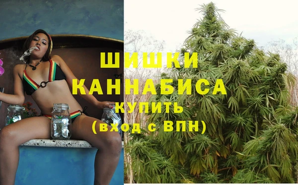 ПСИЛОЦИБИНОВЫЕ ГРИБЫ Болотное