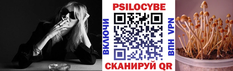 Купить закладки  Коряжма  Псилоцибиновые грибы Psilocybe 